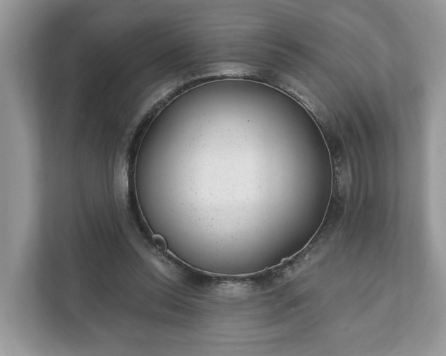 X0000111870350200907301121