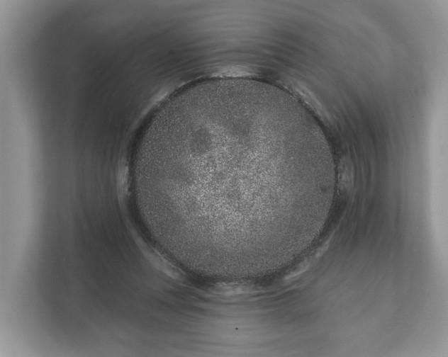 X0000111870351200907301121