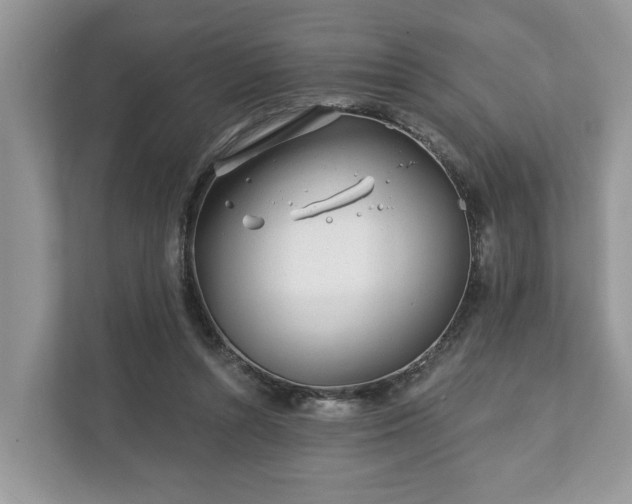 X0000111870352200907301121