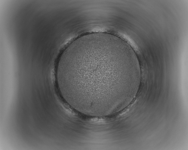 X0000111870354200907301121