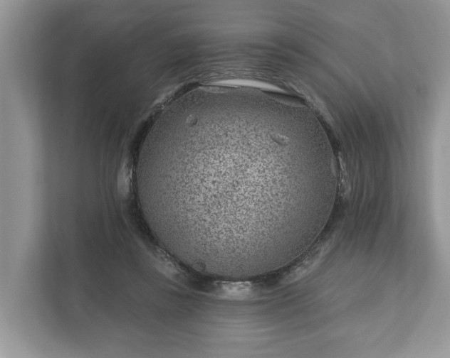 X0000111870355200907301121