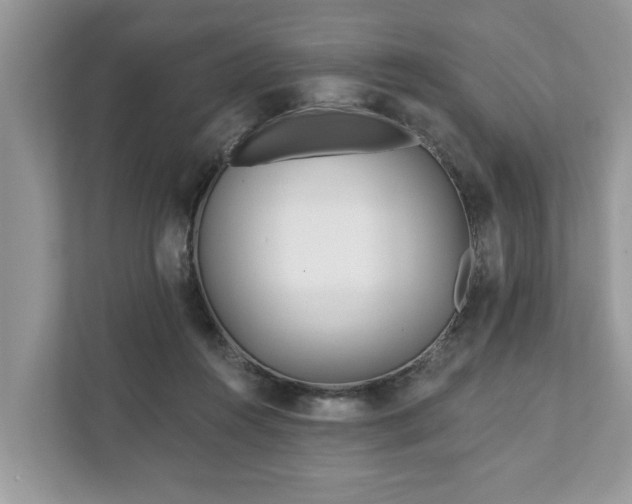 X0000111870360200907301121