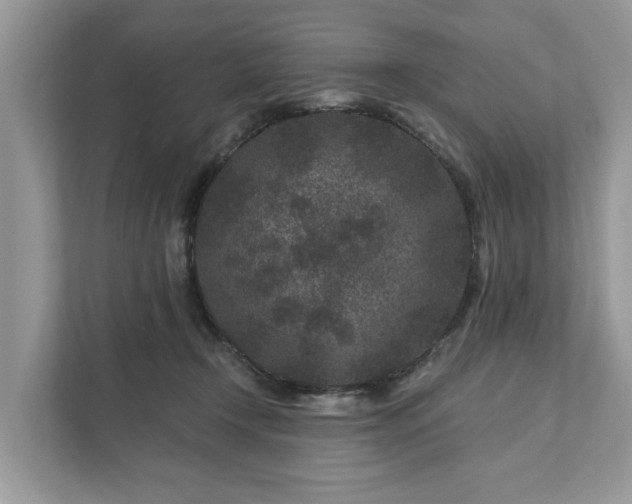 X0000111870366200907301121