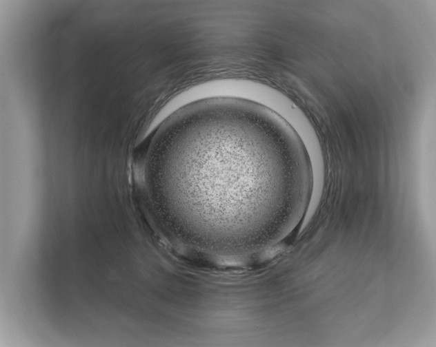 X0000111870368200907301121