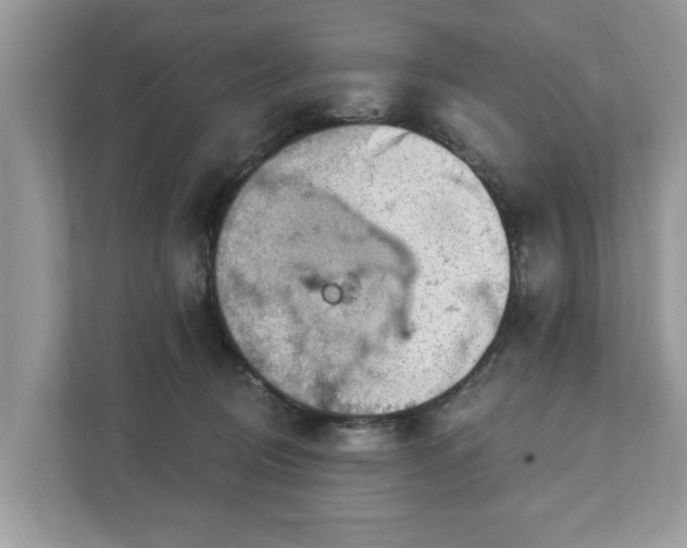 X0000111870370200907301121