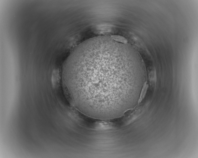 X0000111870372200907301121