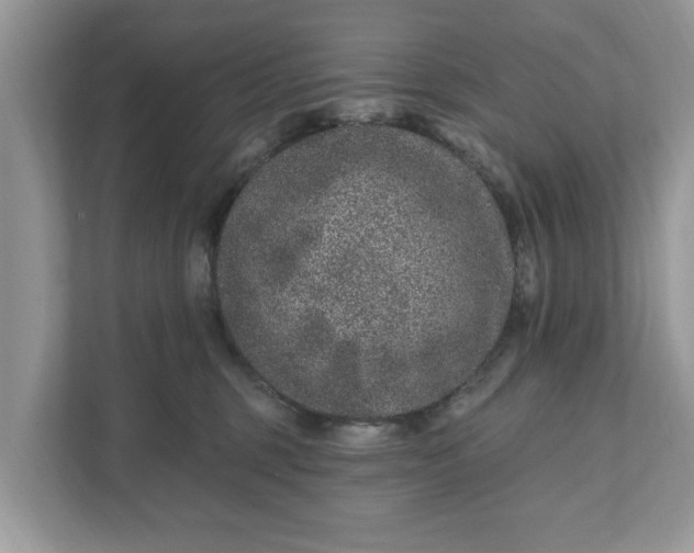 X0000111870375200907301121