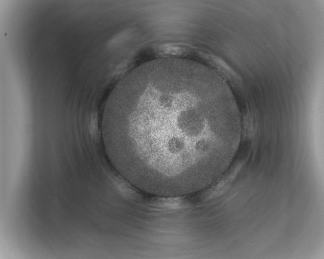 X0000111870377200907301121