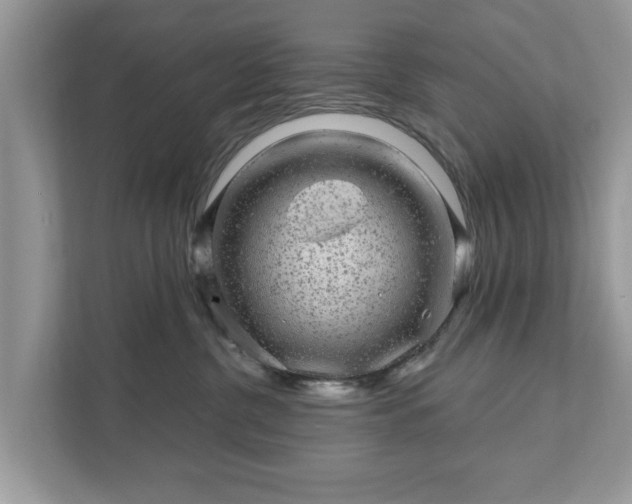 X0000111870380200907301121