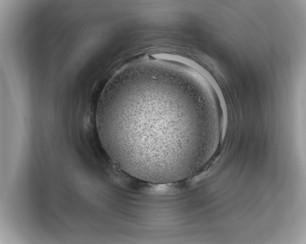 X0000111870382200907301121