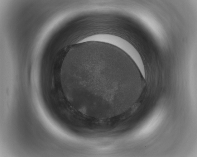 X0000111870383200907301121