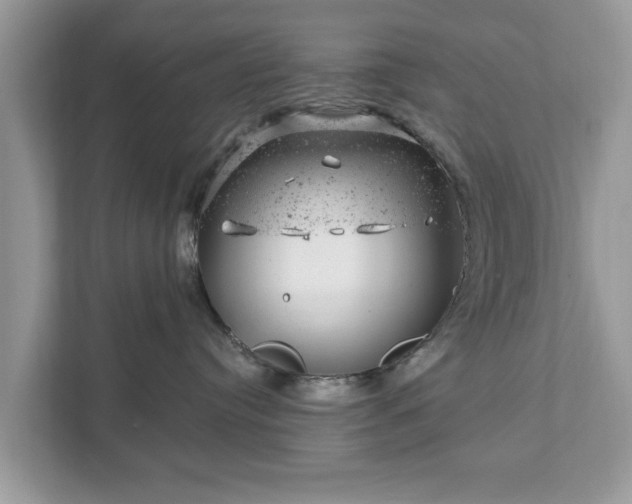 X0000111870384200907301121