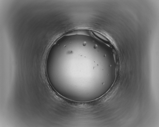 X0000111870385200907301121