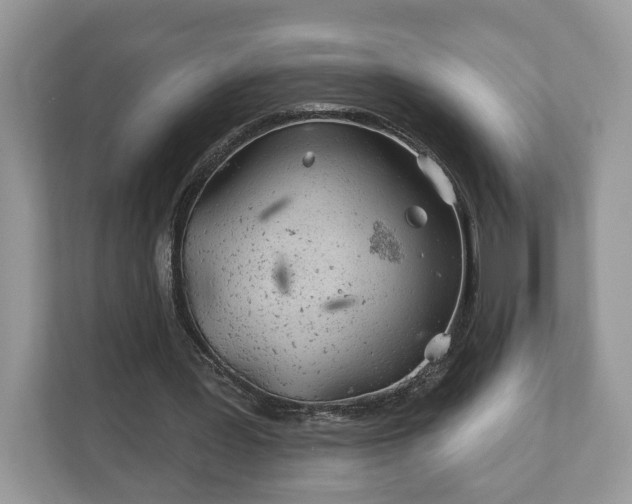 X0000111870387200907301121