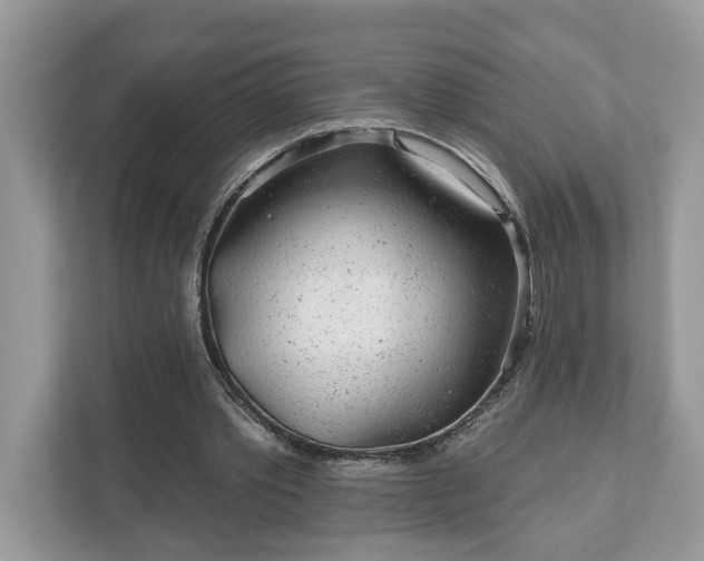 X0000111870389200907301121