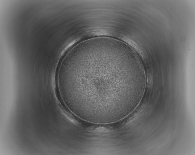 X0000111870390200907301121