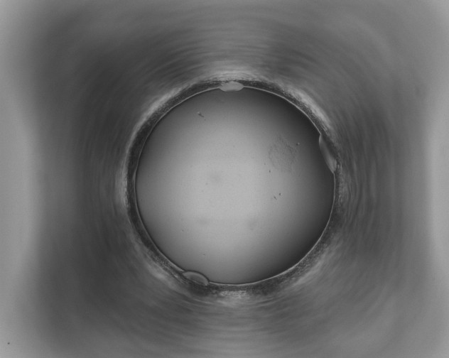 X0000111870391200907301121