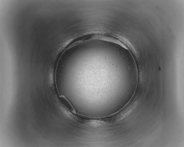 X0000111870393200907301121