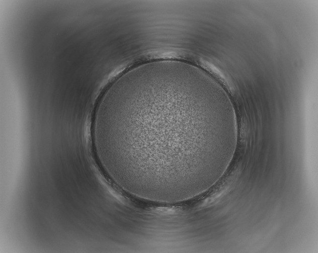 X0000111870394200907301121