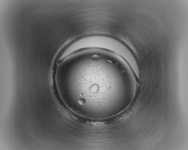 X0000111870395200907301121