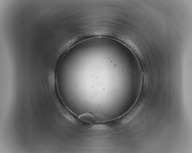 X0000111870397200907301121