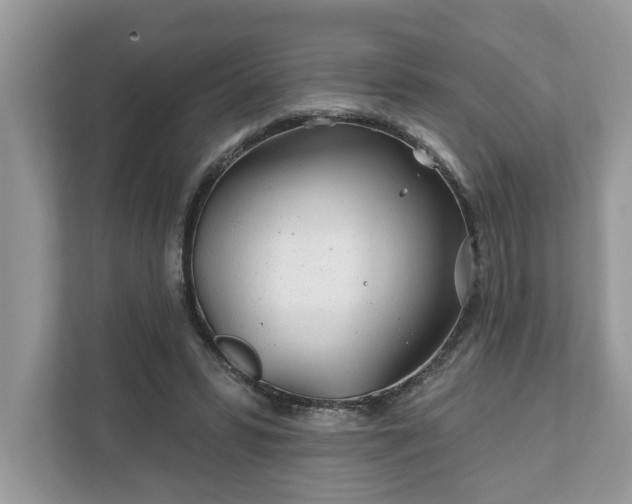 X0000111870399200907301120