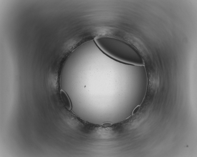 X0000111870403200907301120