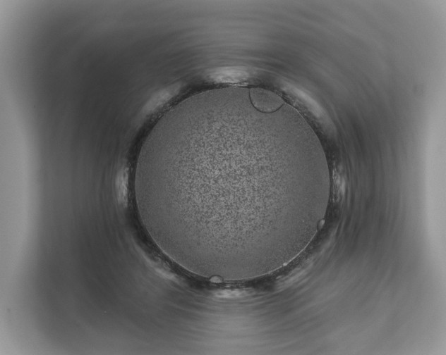 X0000111870404200907301120