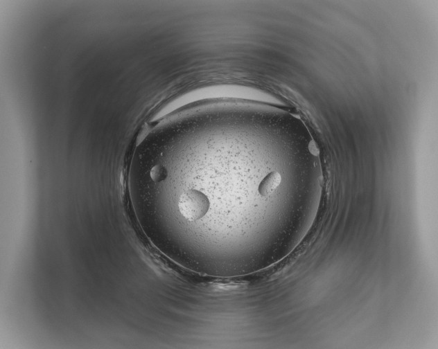 X0000111870405200907301120