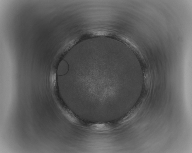 X0000111870406200907301120