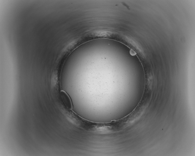 X0000111870407200907301120