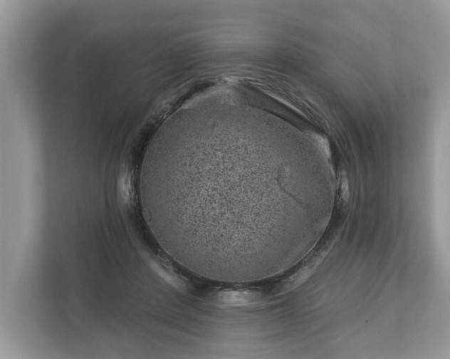 X0000111870408200907301120