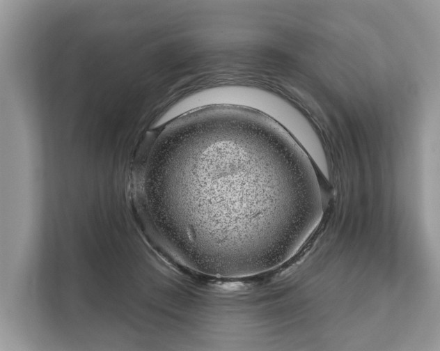 X0000111870409200907301120