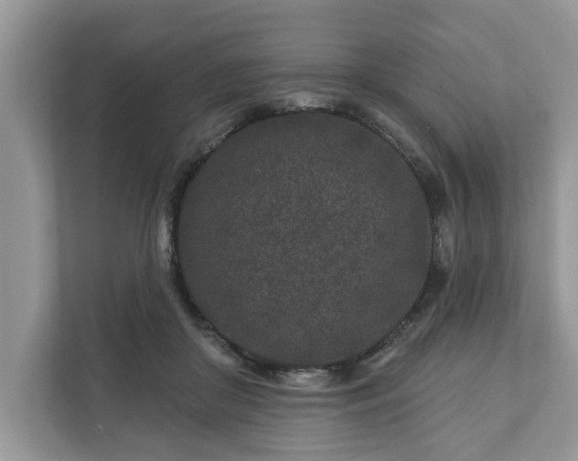 X0000111870410200907301120