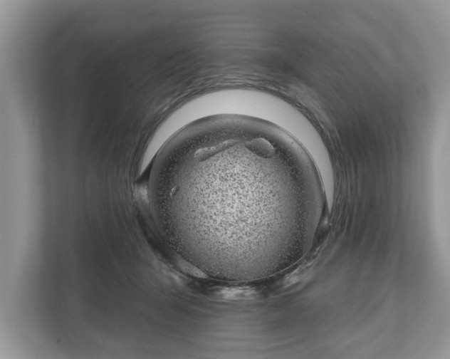 X0000111870415200907301120