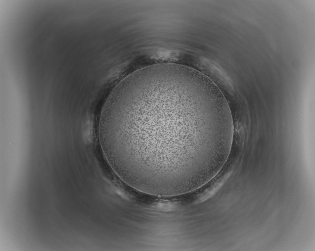 X0000111870416200907301120