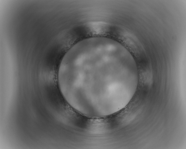 X0000111870419200907301120