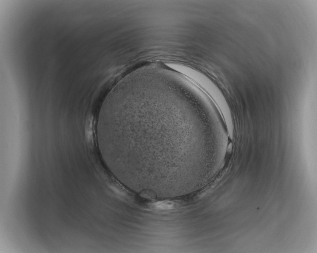 X0000111870423200907301120