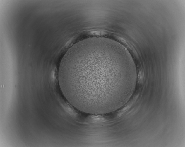 X0000111870424200907301120