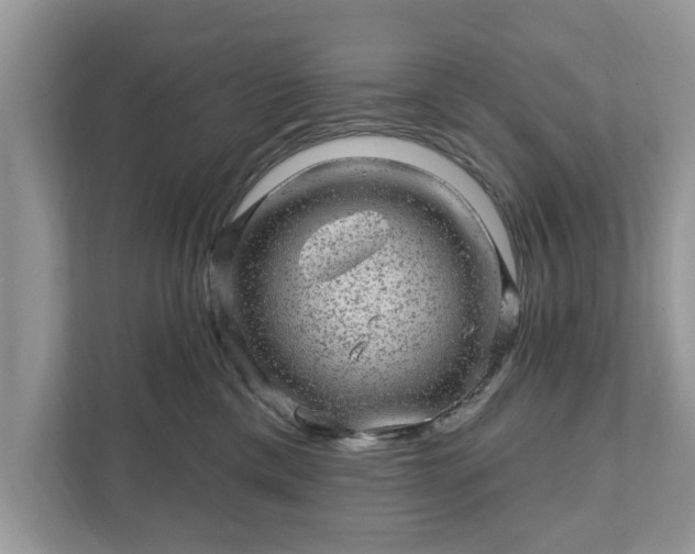 X0000111870425200907301120