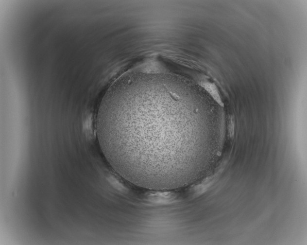 X0000111870428200907301120