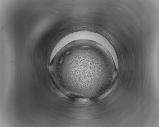 X0000111870429200907301120