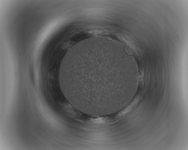 X0000111870430200907301120