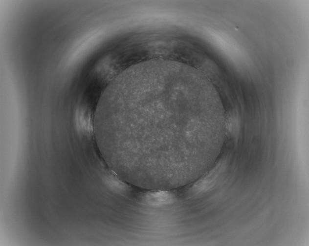 X0000111870431200907301120