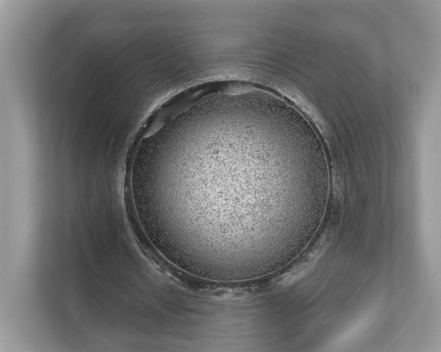 X0000111870434200907301119