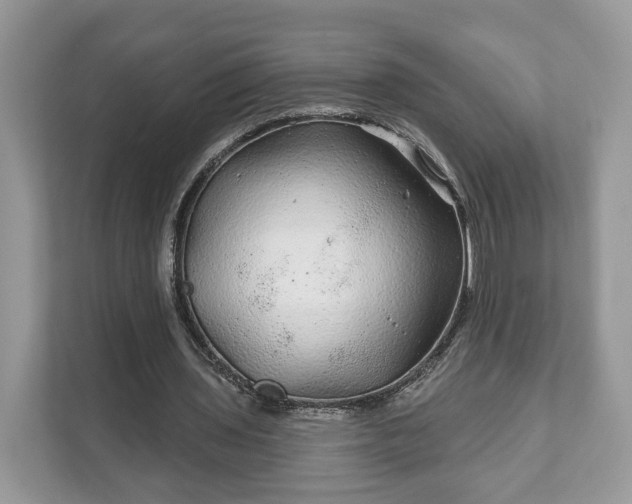 X0000111870435200907301119