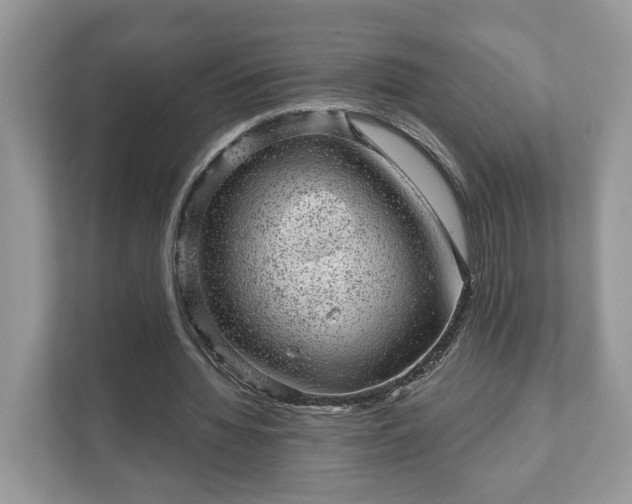 X0000111870436200907301119