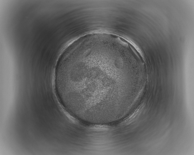 X0000111870437200907301119