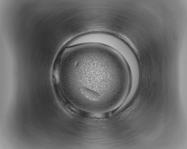 X0000111870439200907301120