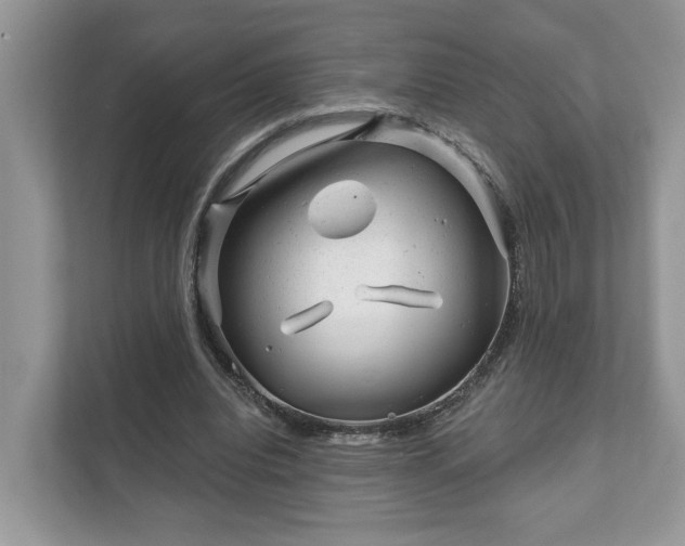 X0000111870440200907301120